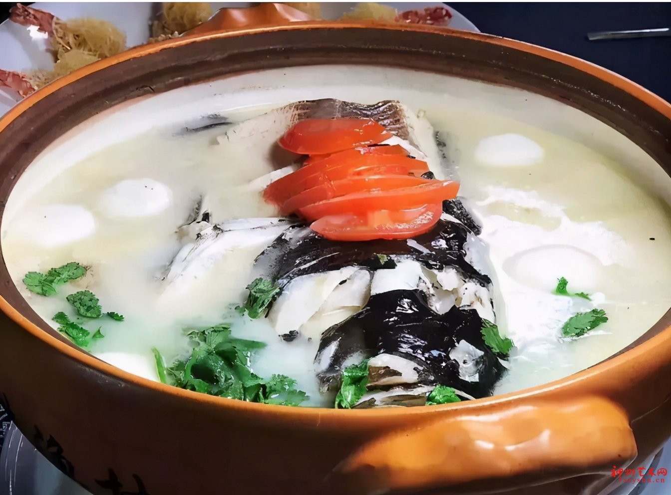 最忆新安江,宁静幽雅在罗桐