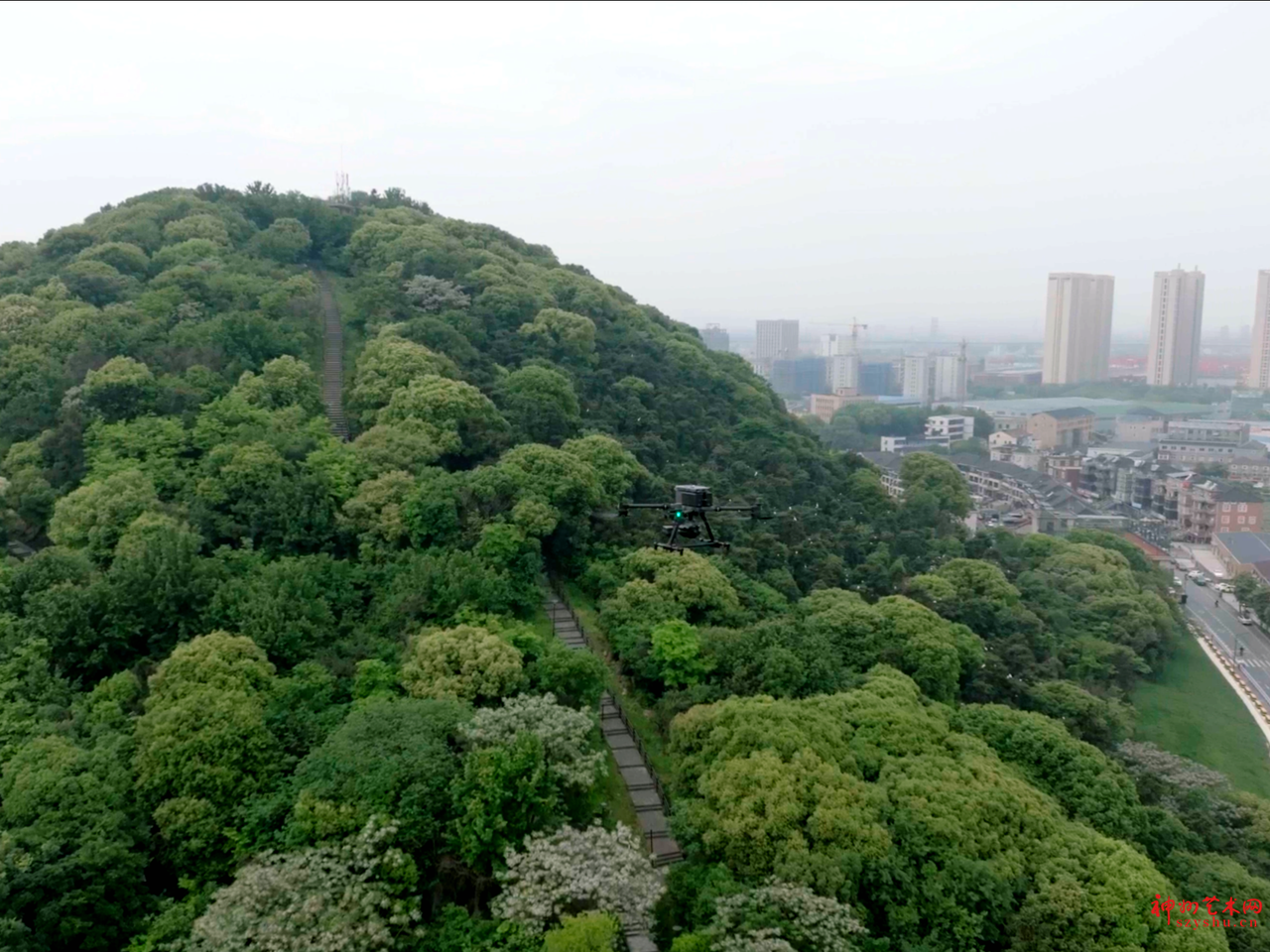 微信图片_20250530134223_3108_704_副本.png