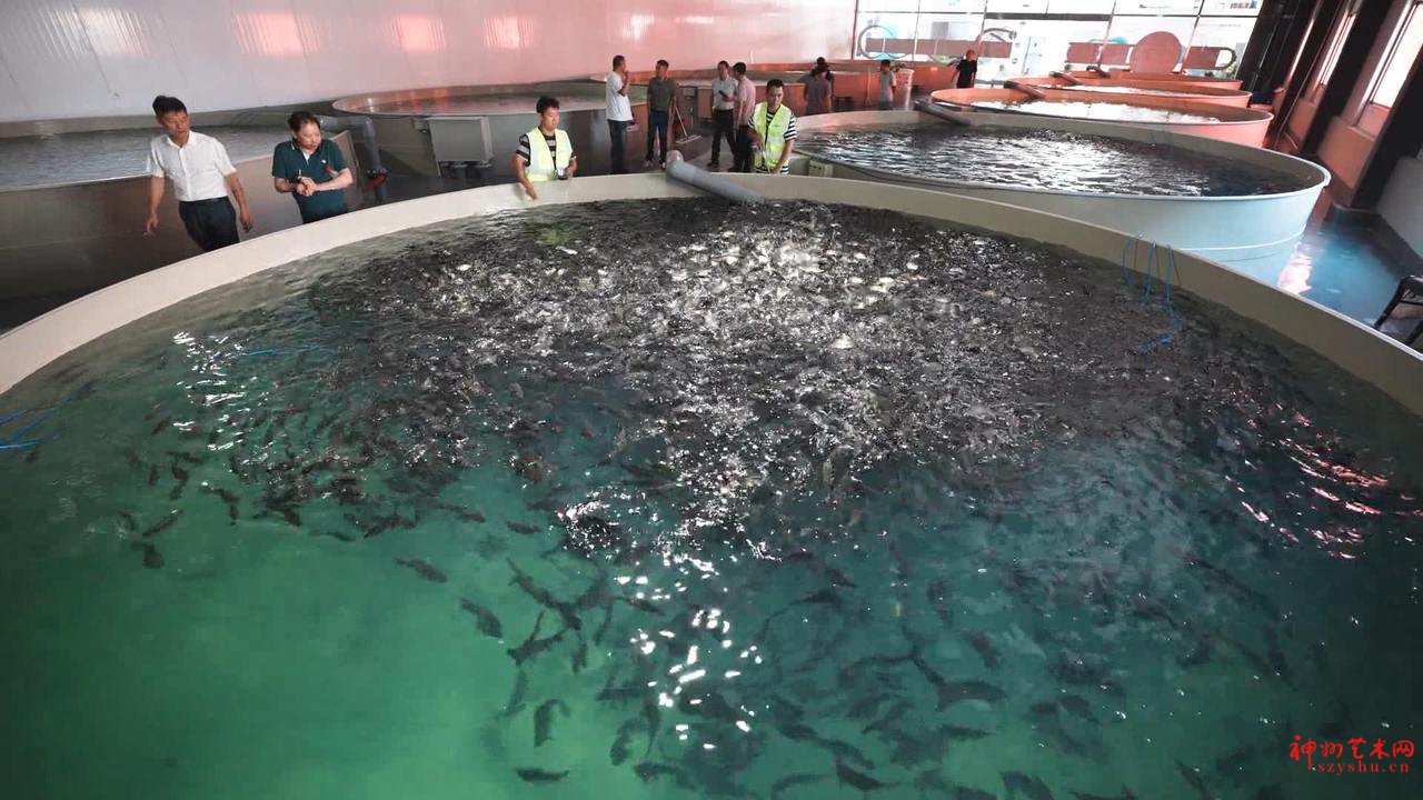 微信图片_20251010170133_246_20.jpg