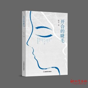�Ϻ��������Ҽ�ƽ������������ɢ�ļ������ϵĽ�ë�����淢��